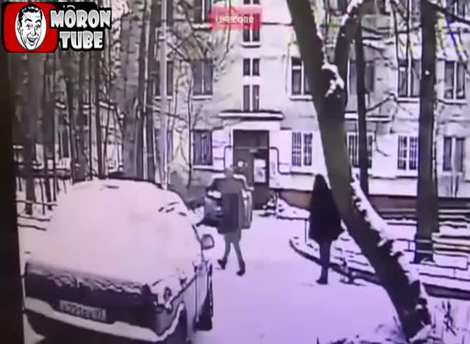Video :killed by a falling tree in an instant (Russia)